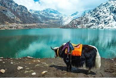 DooarsDarshan tour and travels