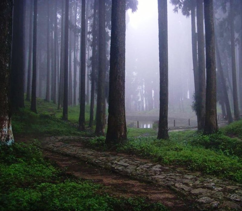Darjeeling Image
