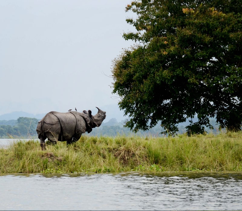 Meghalaya Image