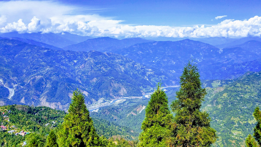 Dooars Image